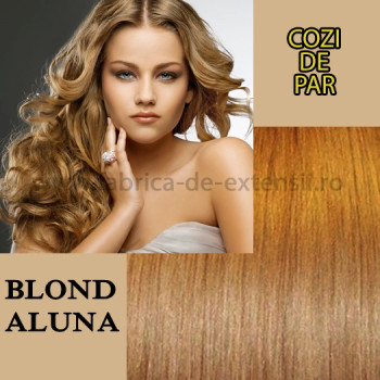 Cozi de Par cu Dubla Intrebuintare Blond Aluna