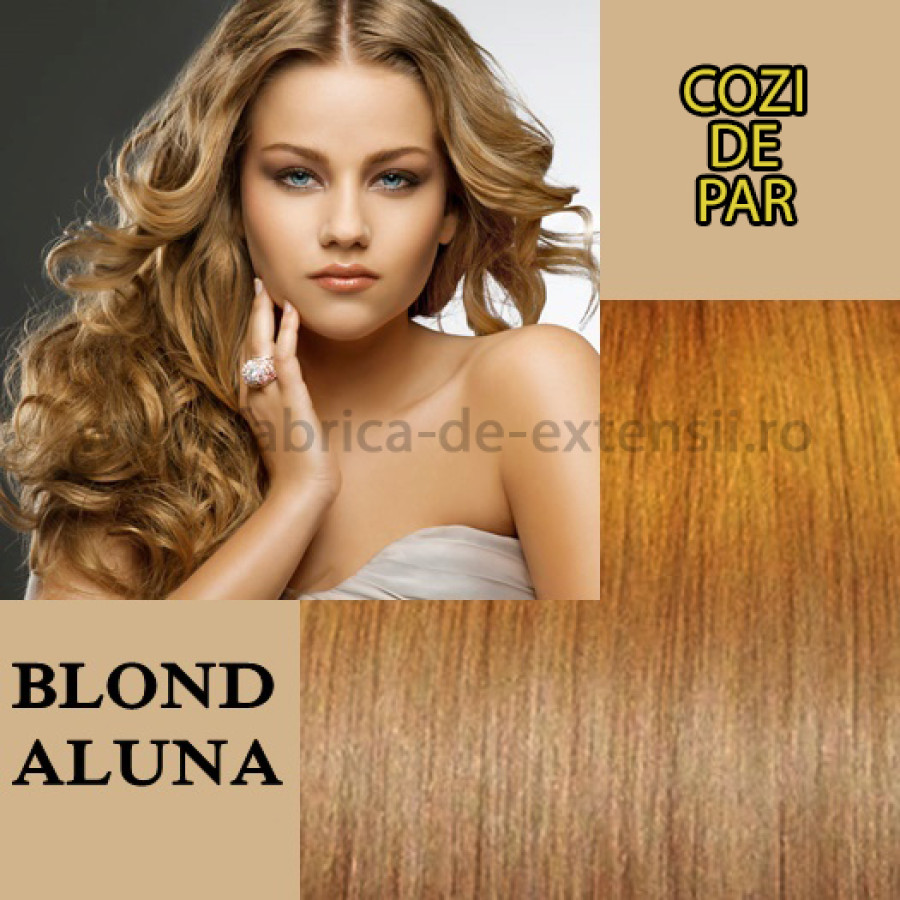 Cozi de Par Sintetice Blond Aluna