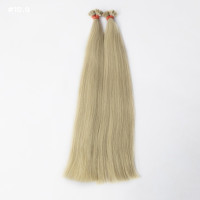 Extensii Cheratina Par Slavic #10 Blond Nisipiu