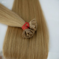 Extensii Cheratina Par Slavic #8 Blond Aluna