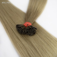 Extensii Cheratina Par Slavic Ombre #8C/ #9