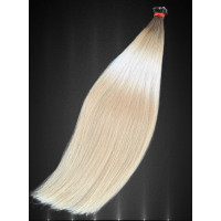 Extensii Nanoring Slavic Ombre #2/ #12