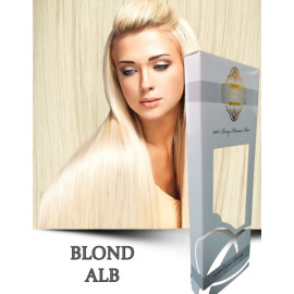 White Platinum Blond Alb